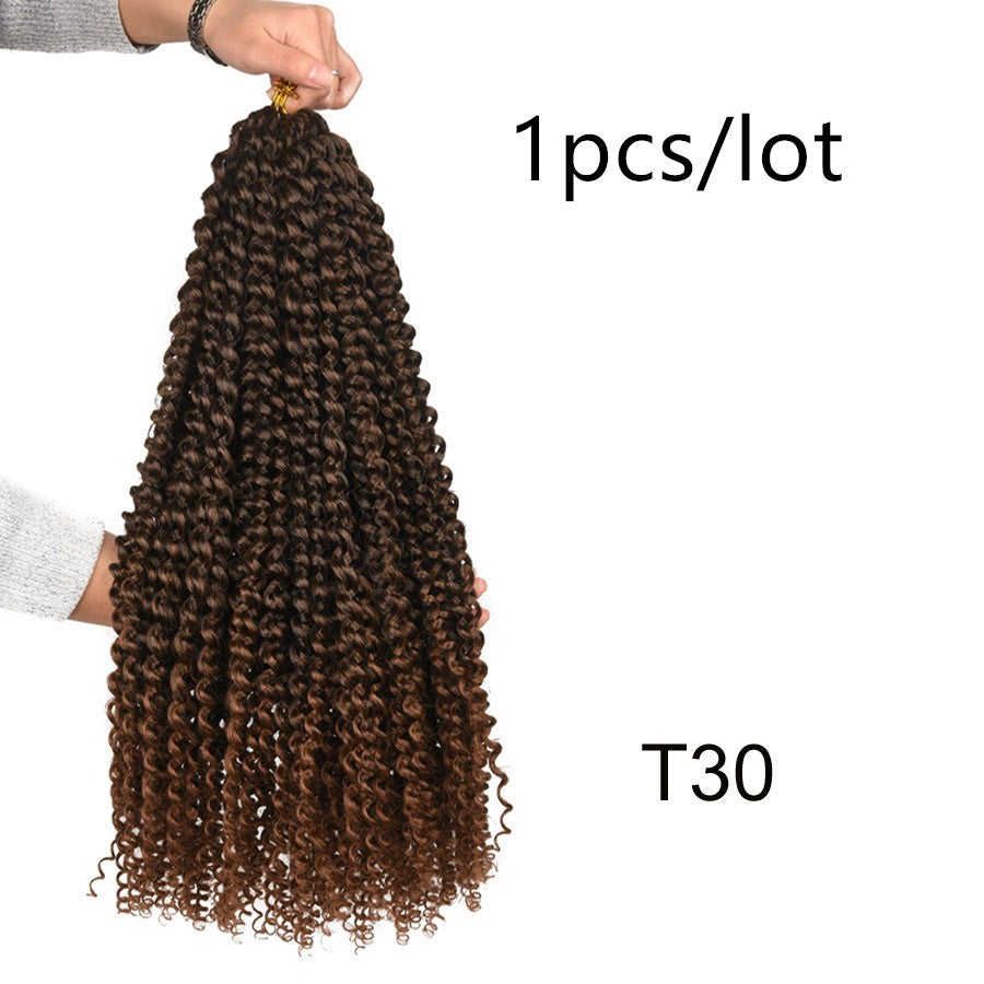 Mèches pour Passion Twist